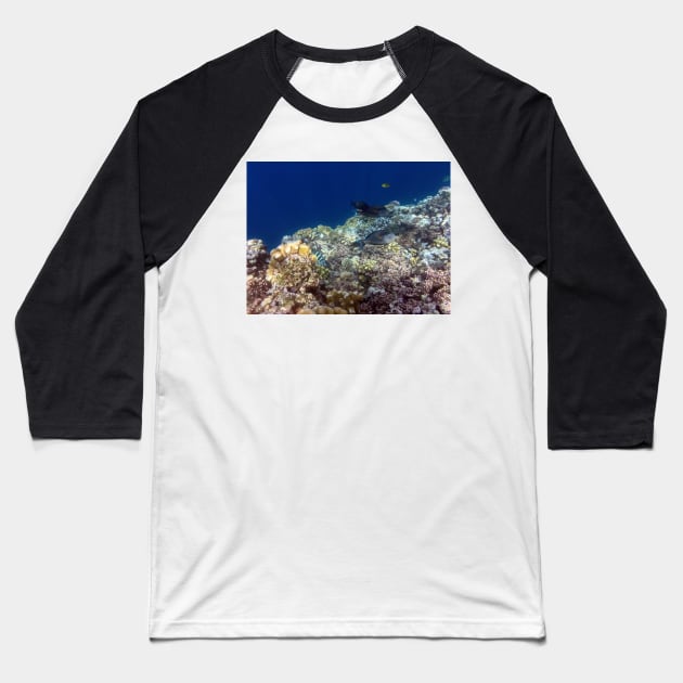 under the sea Baseball T-Shirt by likbatonboot